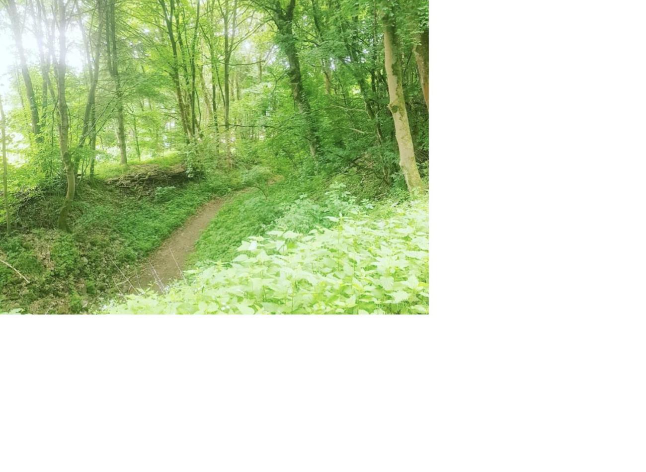 Natur Pur Frielendorf Ngoại thất bức ảnh